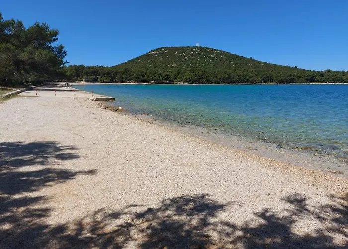 Campsite Mobile Homes Charly Tisno